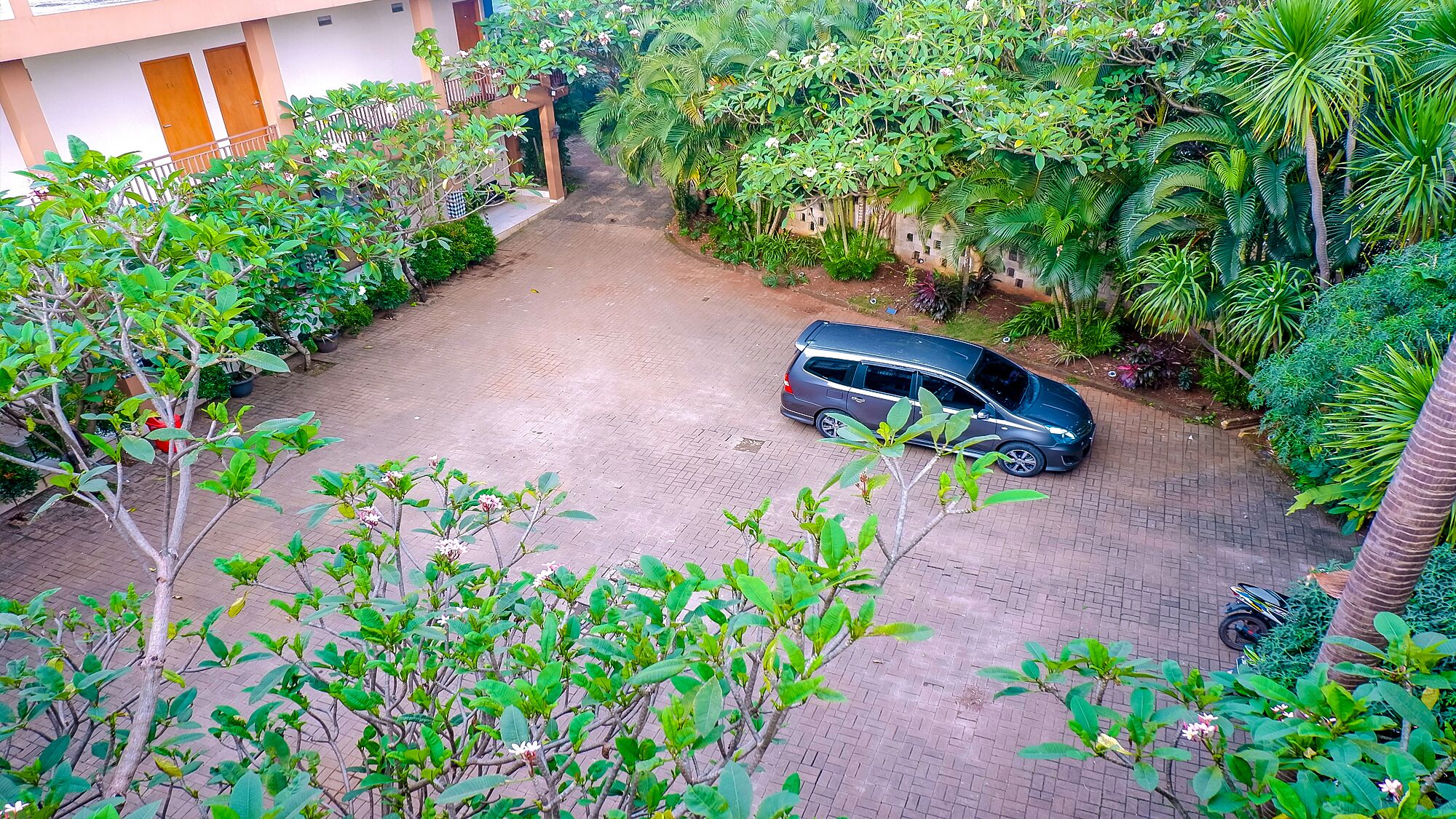 Jardin