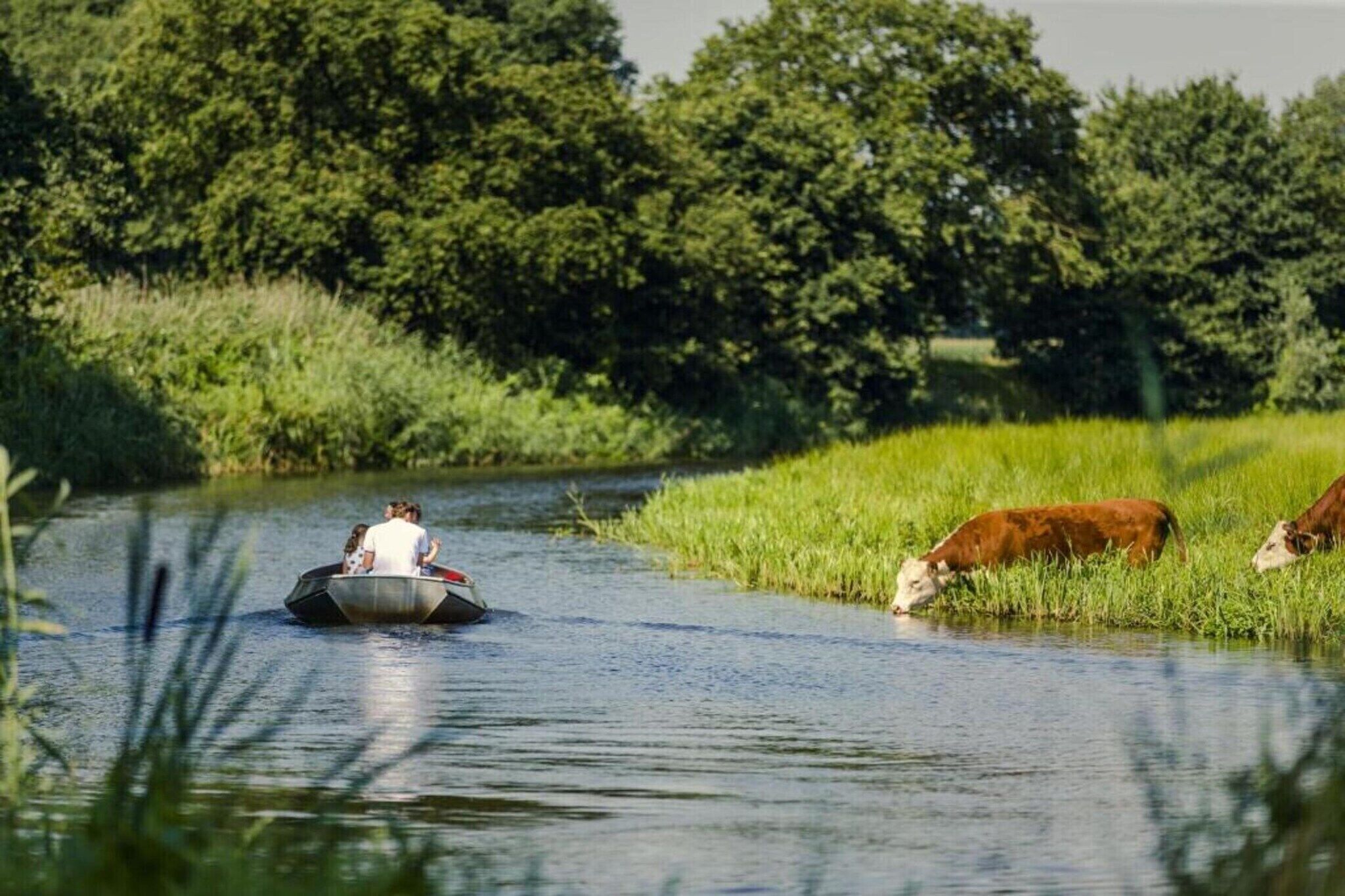 En flod med en båt som transporterar människor och kor som betar på stranden.