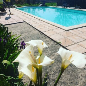 Piscine extérieure