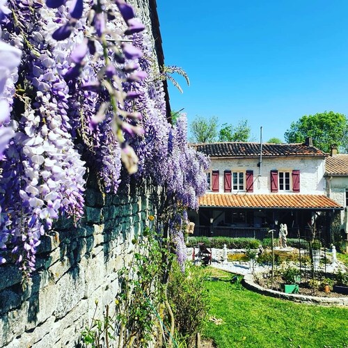 La fontenelle furnished rental with swimming pool in the heart of Cognac vineyards