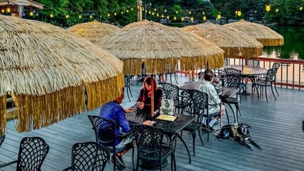 A deck with thatched umbrellas and outdoor seating, overlooking a body of water. - Cozy Cove- Fenced yard for your dog and calm waters to swim for the family (Moneta)