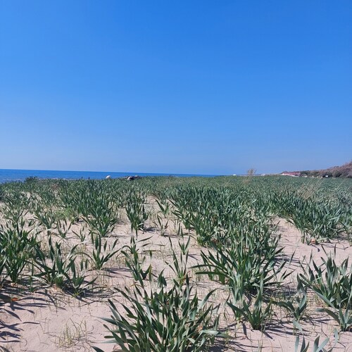 Casa con accesso privato alla spiaggia , terrazzo e parcheggio  gratuito