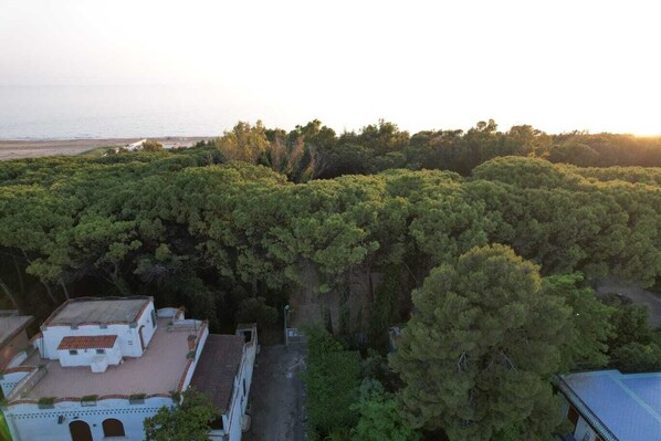 An aerial view of a coastal area with dense greenery and a few buildings with traditional architecture.