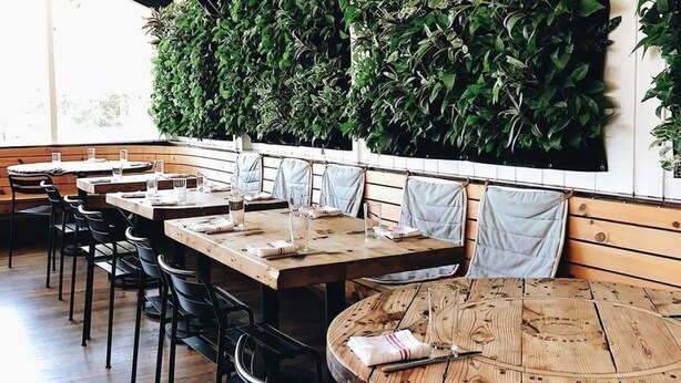 A restaurant with wooden tables and chairs, a high ceiling, and a green wall with plants. - Ruschmeyers #18 - 2 Queen (Montauk)