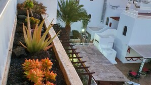 Una terraza en la azotea con paredes blancas, un jardín de suculentas y mobiliario de exterior.