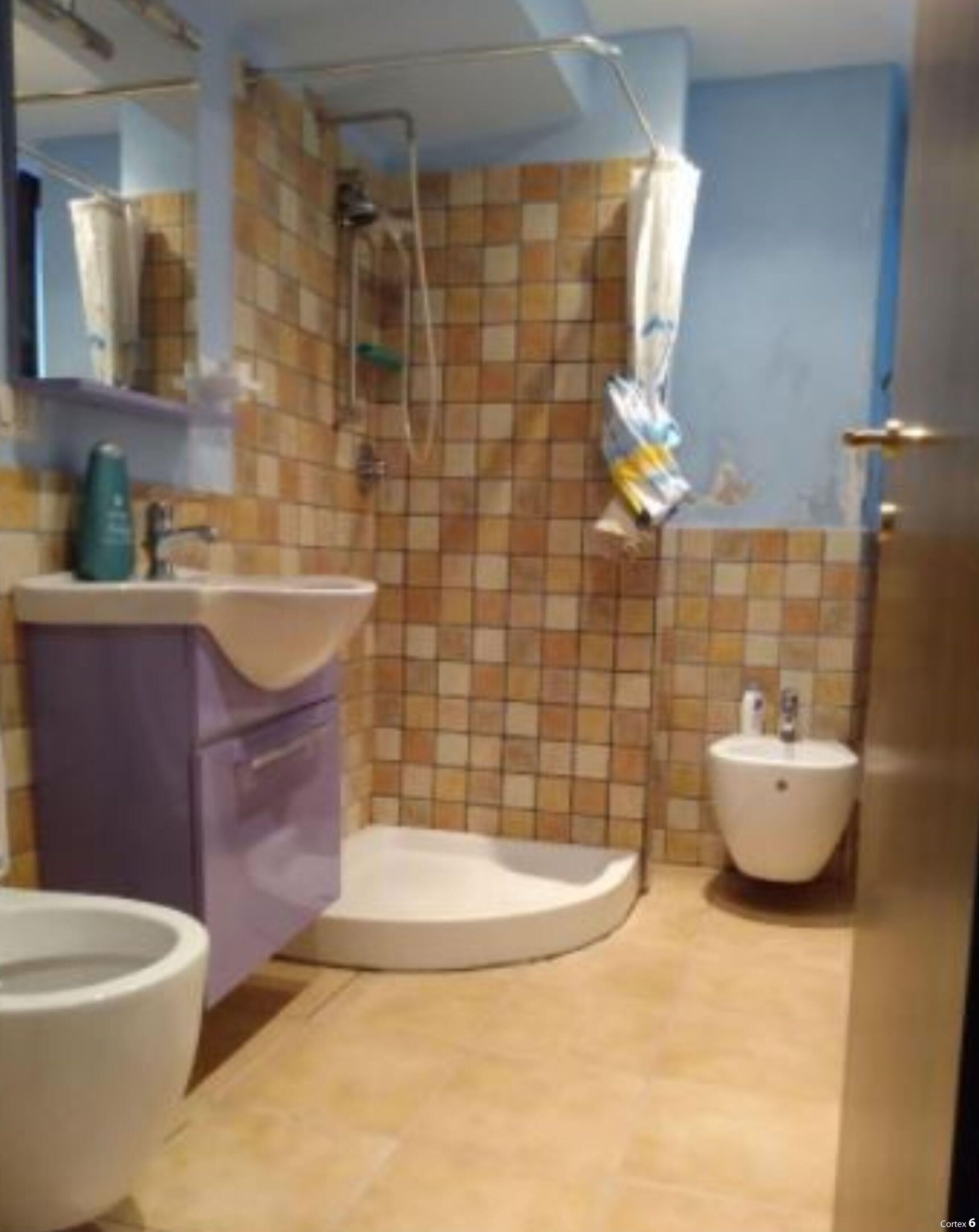 シャワー、ビデ