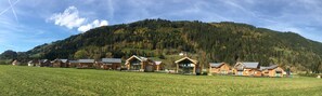 A row of wooden cabins with large windows, set against a backdrop of a forested mountain. - Superior Chalet # 15 with IR-sauna & Whirlpool (Murau)