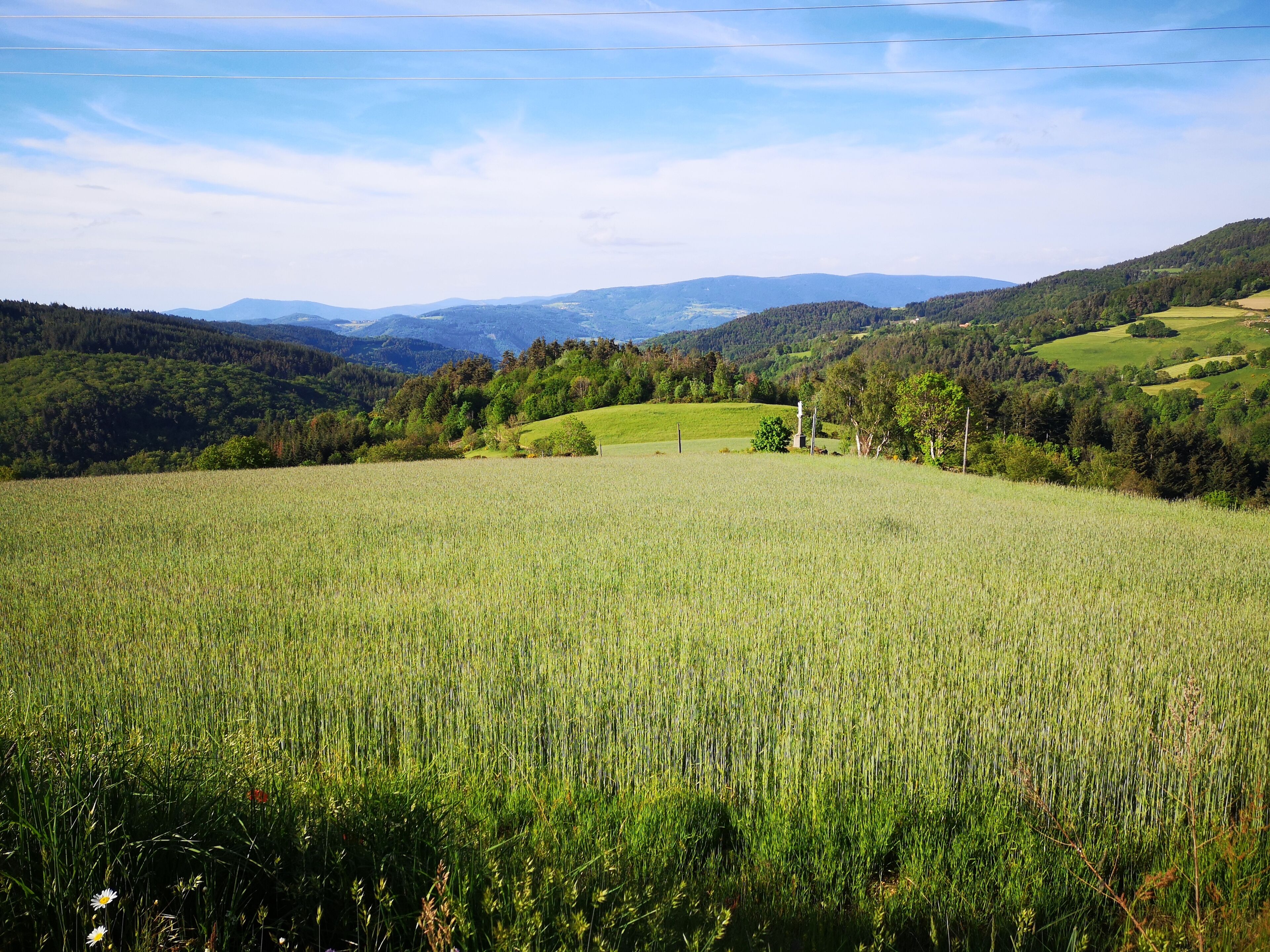 Un vaste champ, avec une chaîne de montagnes lointaine et un ciel dégagé.