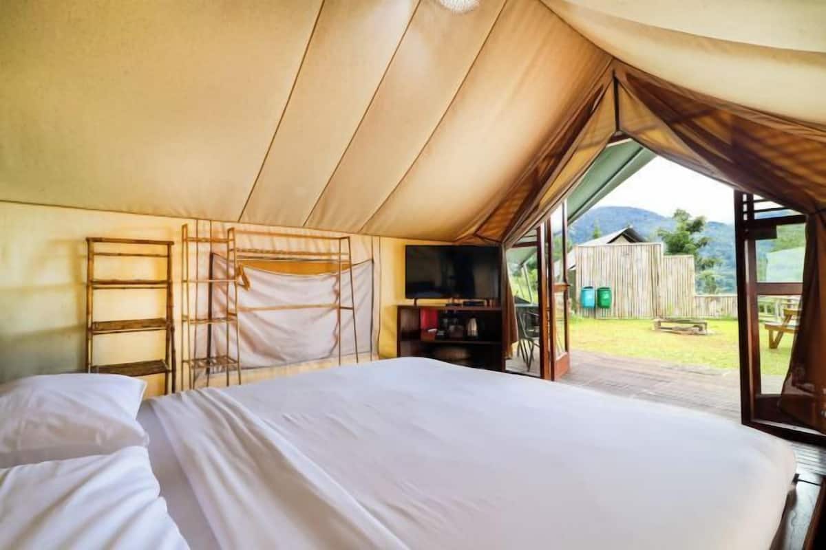 Escritorio, wifi gratis, ropa de cama