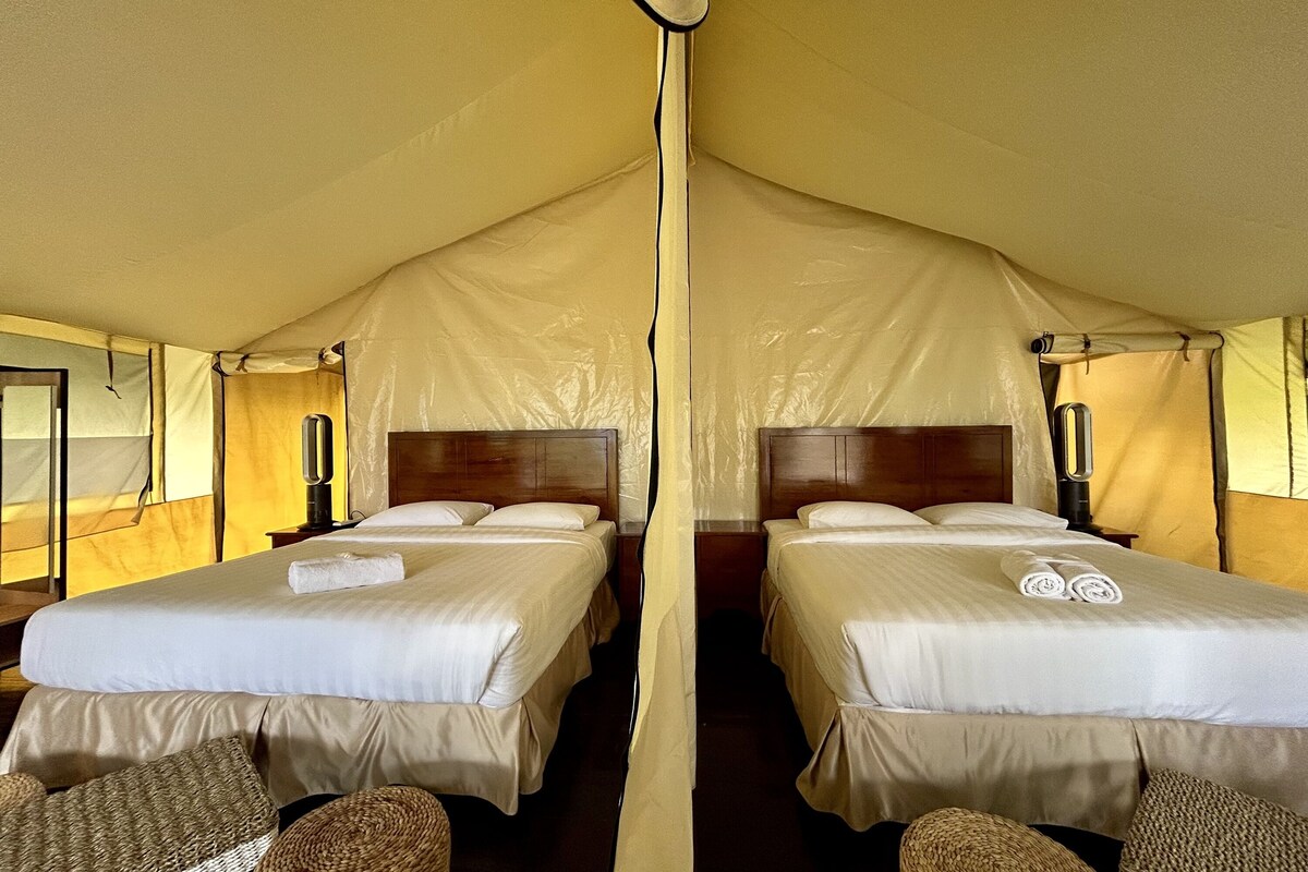 WiFi (free), bed sheets