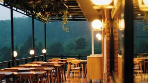 Um restaurante com mesas e cadeiras de madeira, plantas penduradas e amplas janelas que oferecem vista para o exterior.