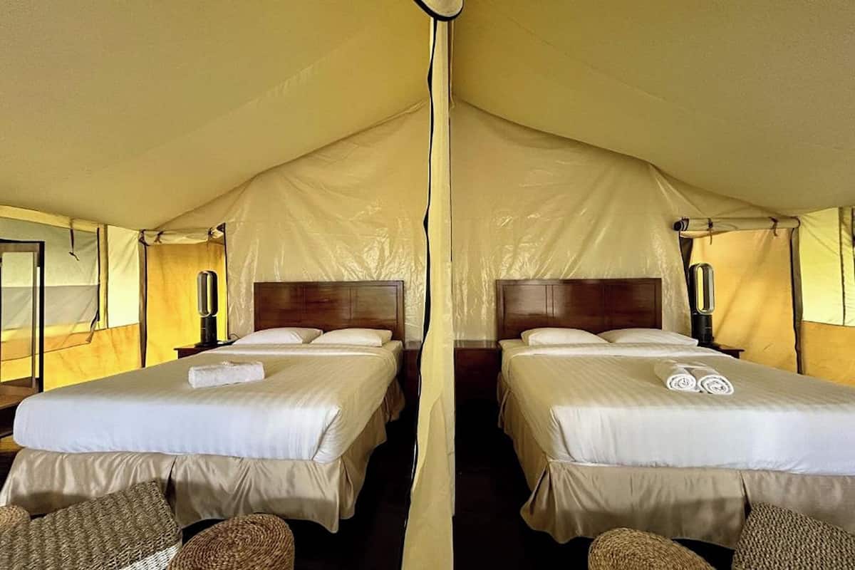Family Glamping Pangrango | Escritorio, wifi gratis, ropa de cama