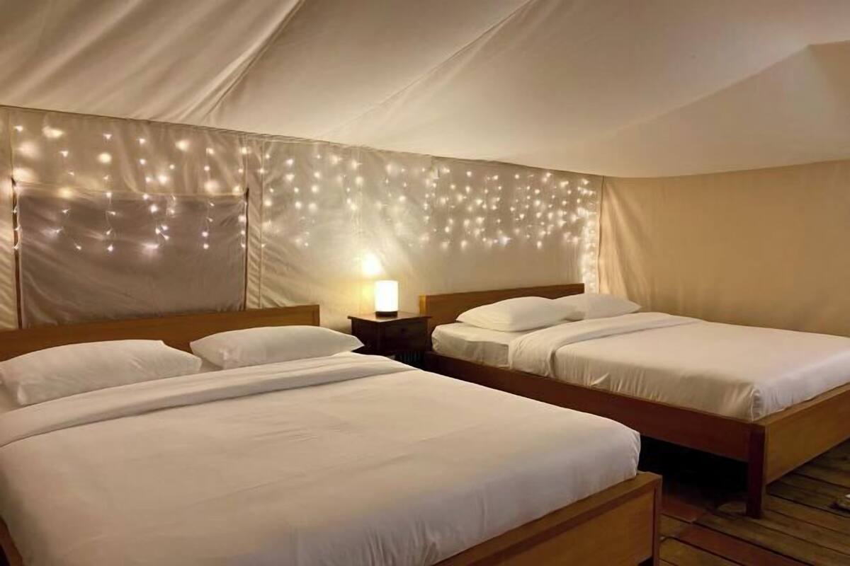 Free WiFi, bed sheets