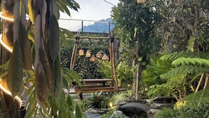 Um caminho no jardim com um banco de madeira, luminárias pendentes e vegetação exuberante.