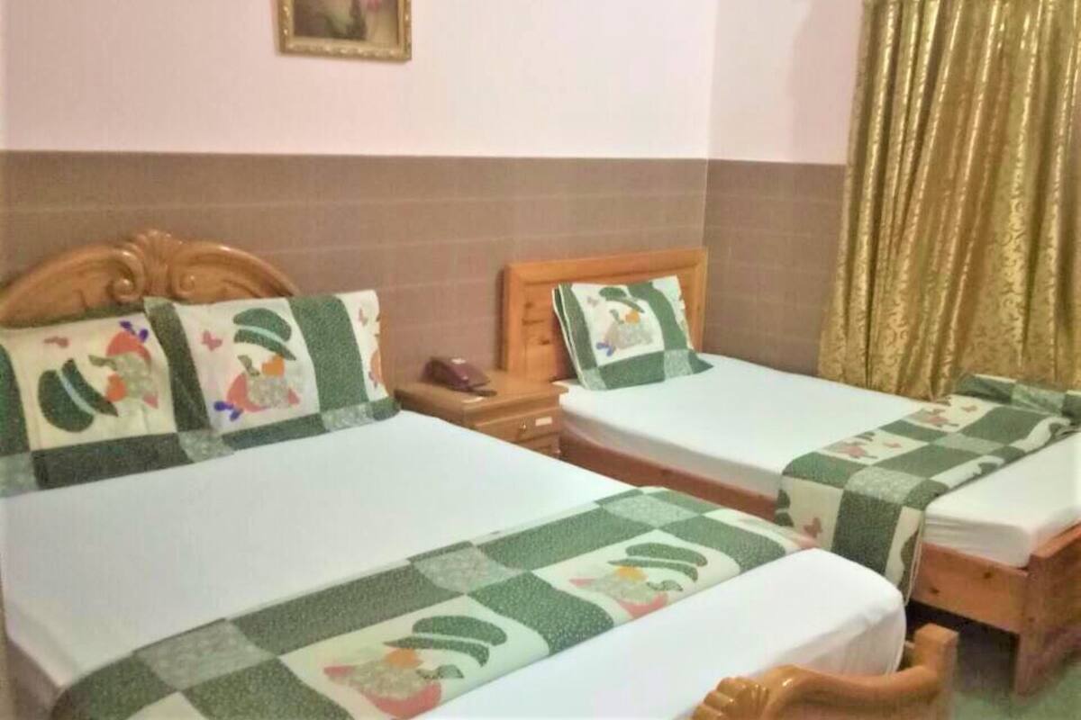 A room with two single beds, each with a wooden headboard and a green and white checkered bedspread.
