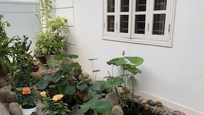 Um pequeno jardim com um lago, plantas em vasos e uma janela.