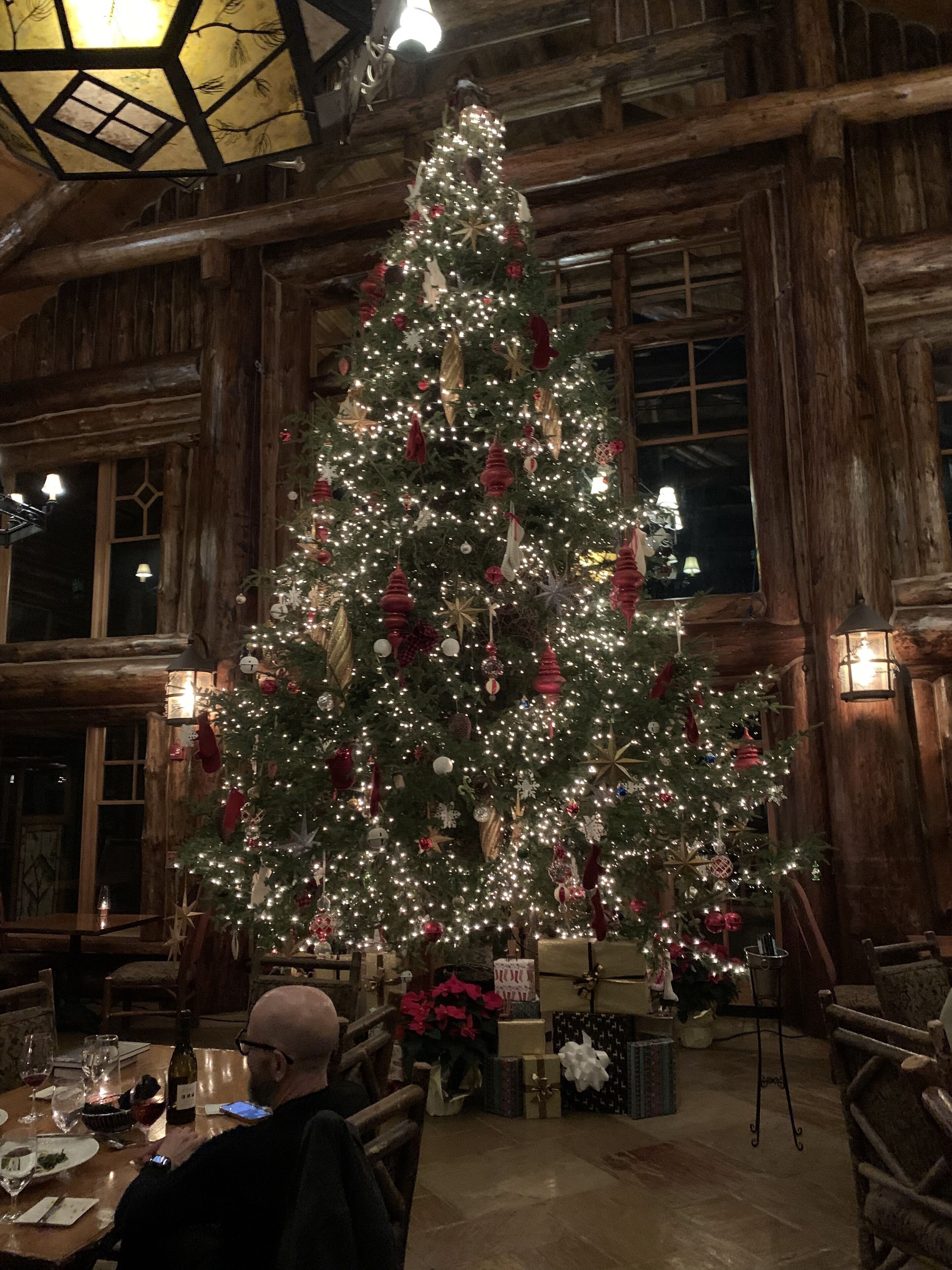 A large Christmas tree decorated with lights and ornaments in a rustic wooden room with a high ceiling and large windows.