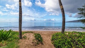 Ein Strand mit zwei Palmen, einem Sandweg und grüner Vegetation.