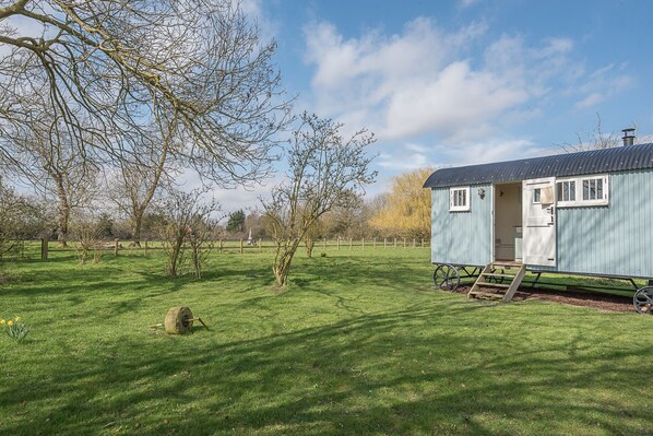 Property grounds - Sage Shepherds Hut, Boundary Farm Cottages (Woodbridge)