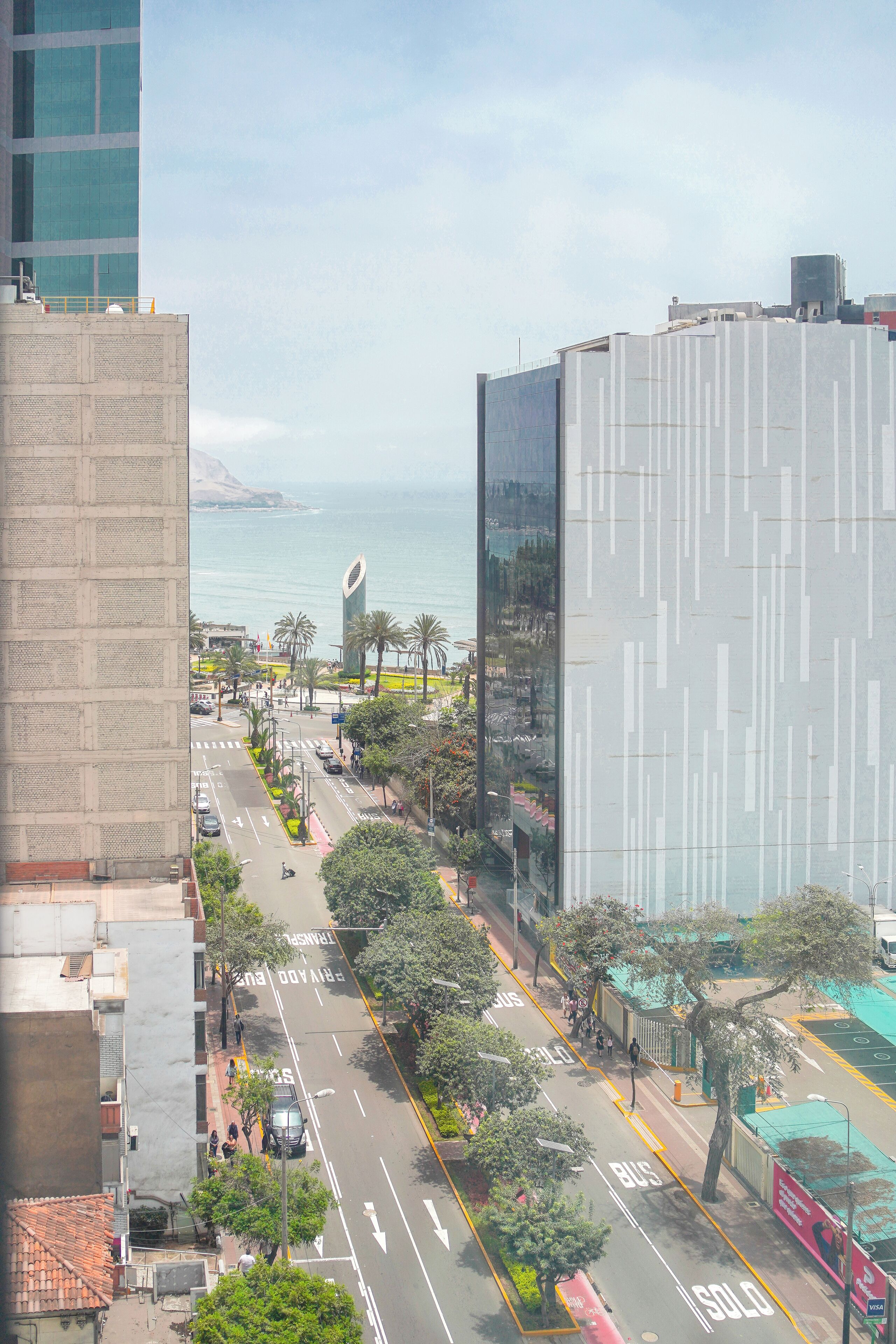 A city street with tall buildings, a road marked for buses and cars, and a view of the sea in the distance.