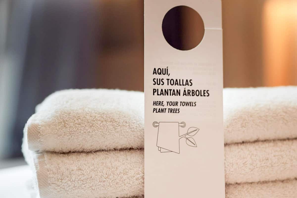 Peralatan tempat tidur hipoalergenik, bar mini, peti besi dalam bilik