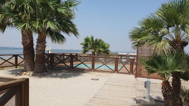 Une terrasse en bois mène à un espace piscine agrémenté de palmiers et offrant une vue sur la mer.