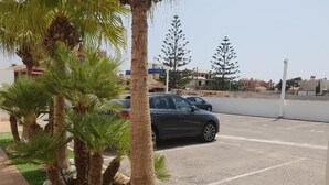 Un espace de stationnement agrémenté de palmiers et où se trouve une voiture.
