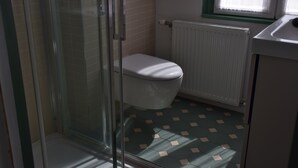 Een badkamer met een douchecabine van glas, een toilet en een radiator.