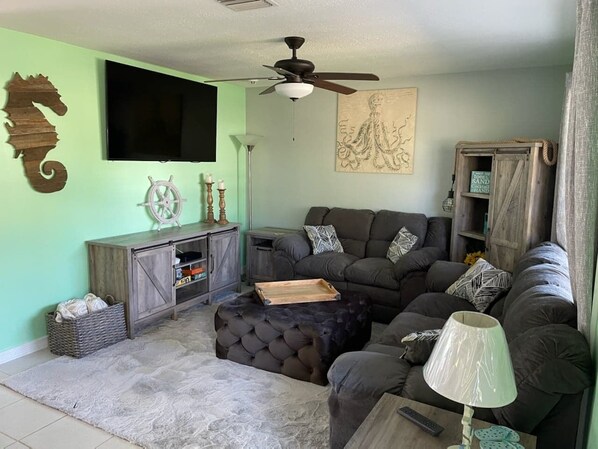 Smart TV, DVD player, books
