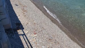 A pebble beach with clear water and a distant shoreline. - Cottage on Lake Erie with beach access .Local wineries (North East)