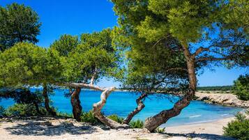 Plage, chaises longues