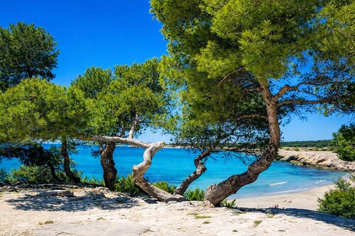 Les pieds dans l’eau Terrasse • Plage de sable à Martigues à 2 pas de Marseille