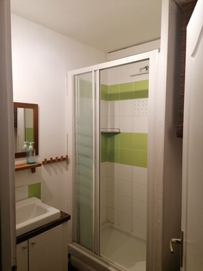 Shower, hair dryer, toilet paper