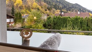 En balkong med utsikt över ett skogsbeklätt berg och hus.