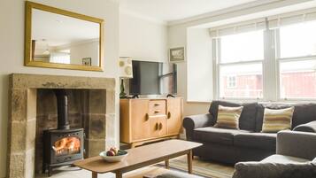 TV, fireplace, books