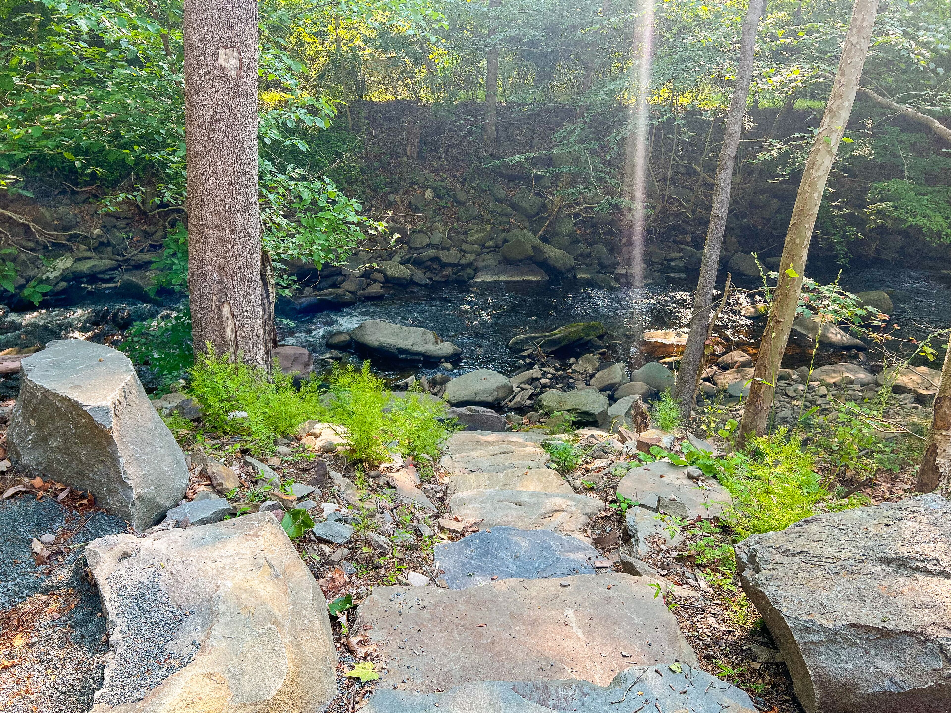 A stone pathway leading to a rocky stream surrounded by trees.