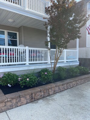 テラス / パティオ