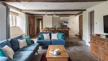 TV, perapian, dan buku