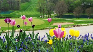 Ein Golfplatz mit Blick auf eine Straße, gesäumt von Tulpen und blauen Blumen.