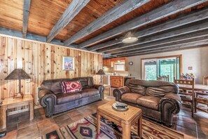 TV, fireplace, books, video library