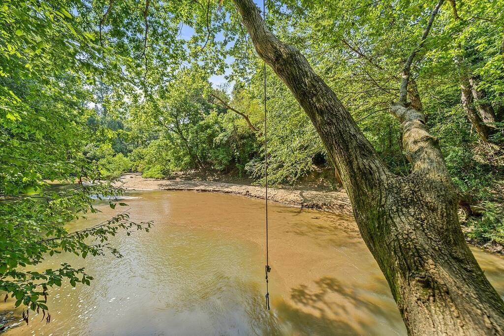 Un río rodeado de abundante vegetación verde y un grueso tronco de árbol al frente.
