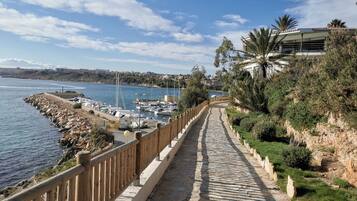 A coastal pathway with a stone pavement, wooden railing, and a view of boats docked at a marina.