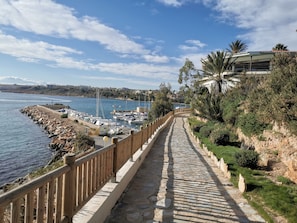 Jachthaven