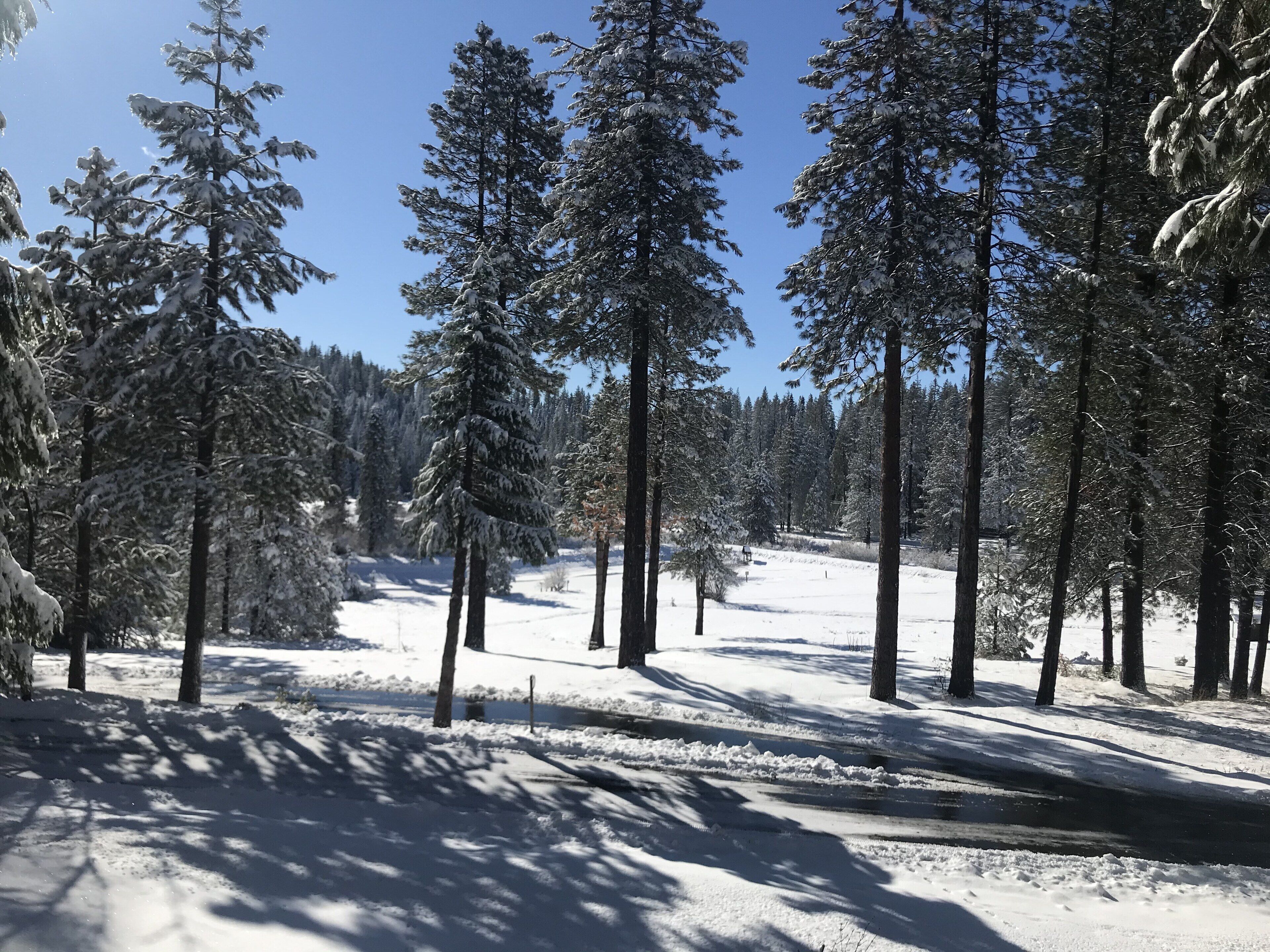 Gorgeous Chalet in 400 acre gated park. Near Twain Harte, Pinecrest&Dodge Ridge