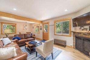 TV, fireplace, books