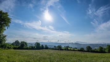 A grassy field with a clear sky and distant mountains.