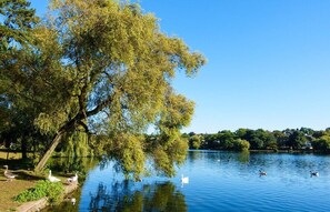Pool - Plum Guide - Dragon Mountain (Cardiff)