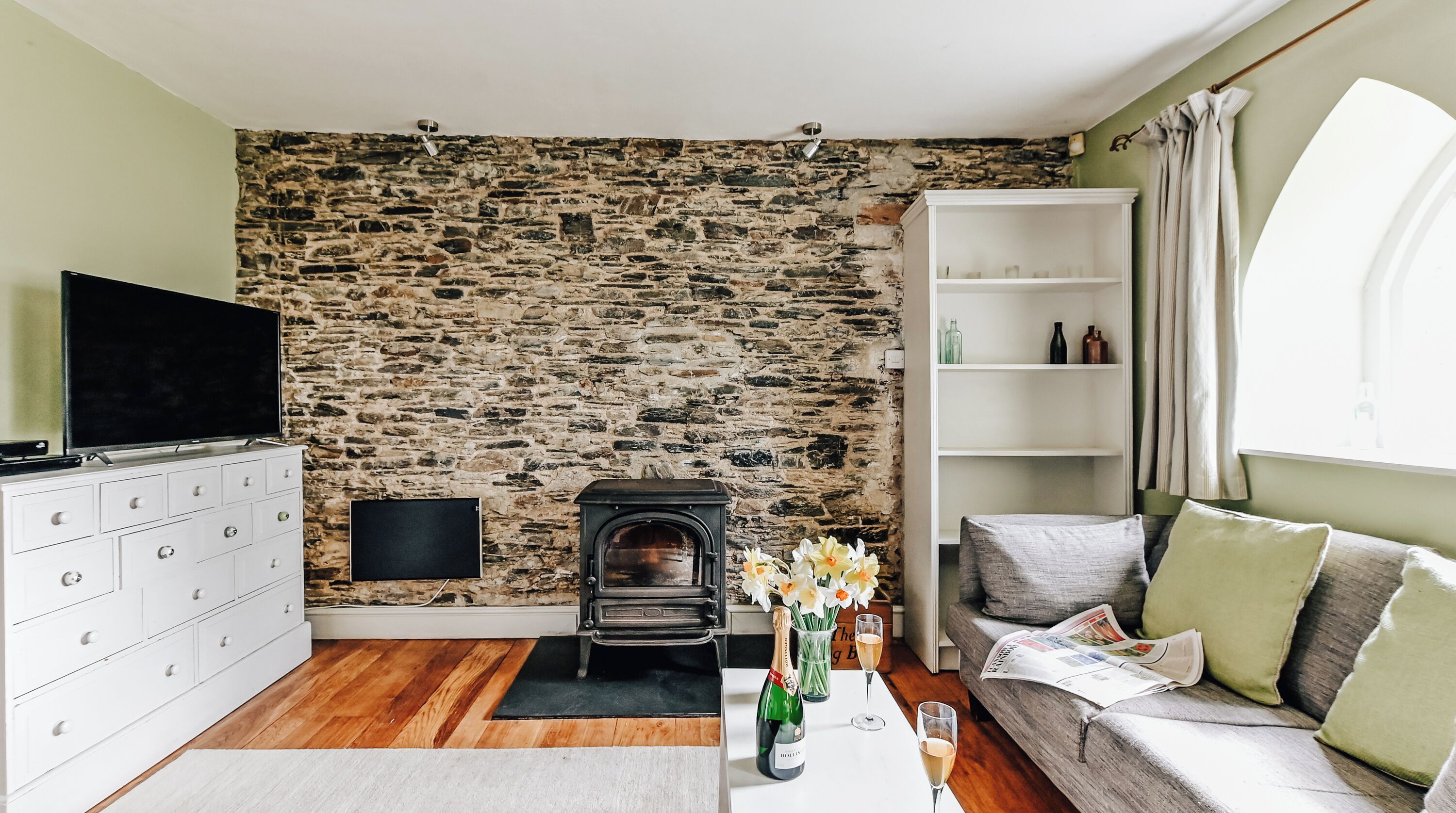 TV, fireplace, books