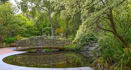 Plum Guide - Nature's Own Garden