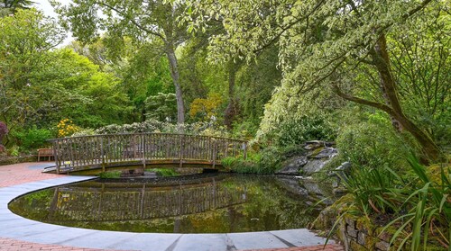 Plum Guide - Wisteria Bridge